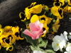img0146.jpg