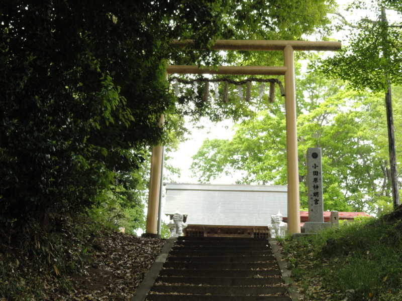 img0001.jpg
