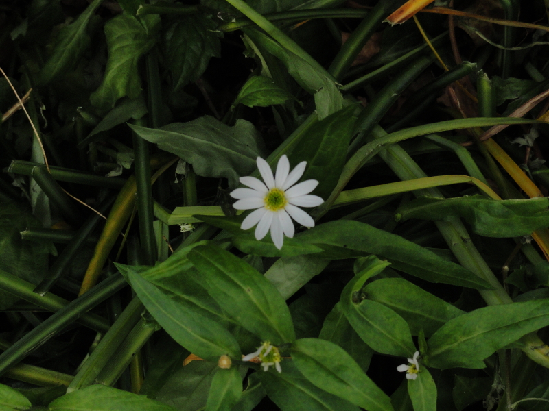 img0029.jpg