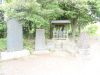 img0009.jpg