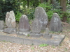 img0017.jpg