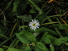 img0029.jpg
