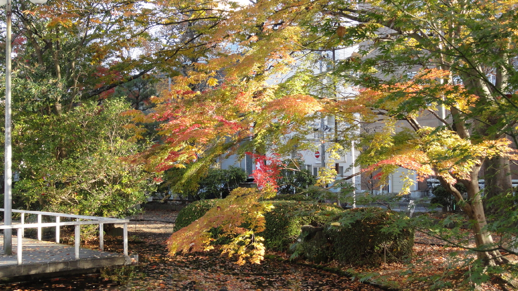 img0011.jpg