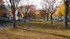 img0003.jpg