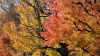 img0006.jpg