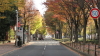img0009.jpg