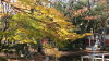 img0020.jpg