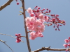 img0015.jpg