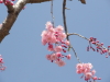 img0016.jpg