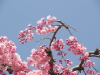 img0017.jpg