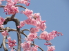 img0019.jpg