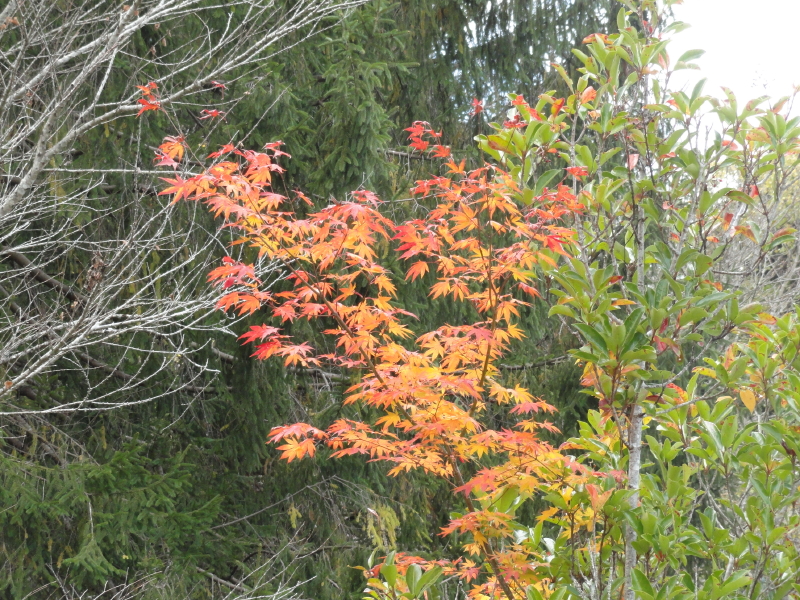 img0015.jpg