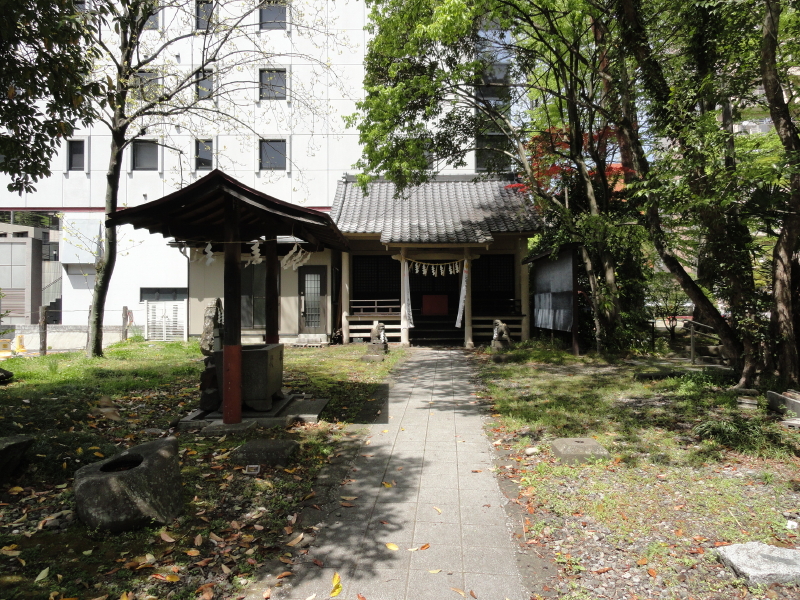 img0007.jpg