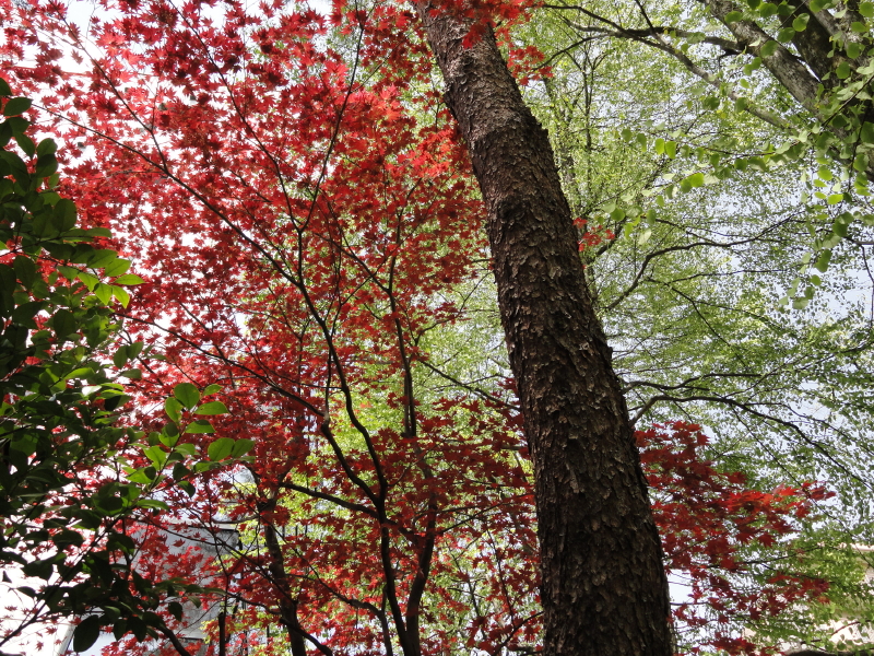 img0015.jpg