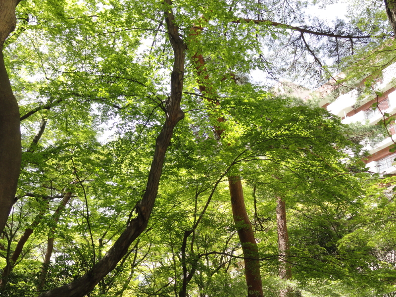 img0020.jpg