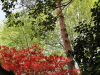 img0013.jpg