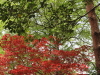 img0014.jpg
