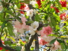 img0017.jpg