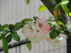 img0019.jpg