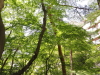 img0020.jpg