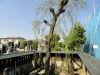 img0017.jpg