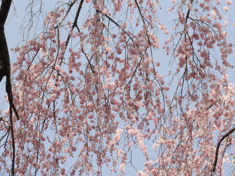 img0006.jpg