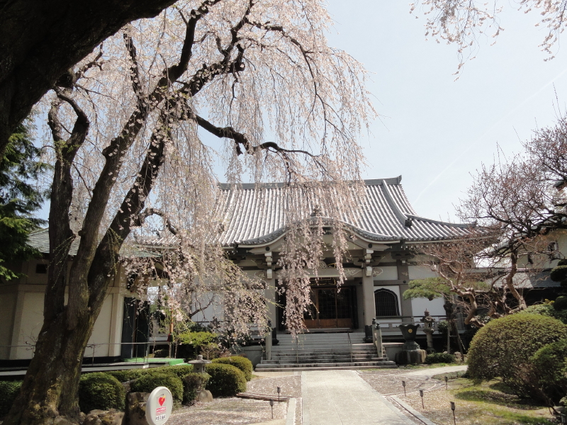 img0011.jpg