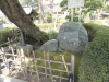 img0009.jpg
