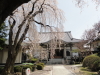 img0011.jpg