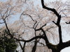 img0015.jpg