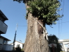 img0004.jpg