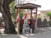 img0013.jpg