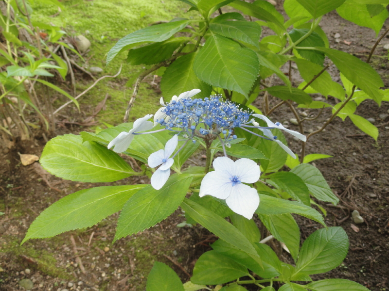 img0002.jpg