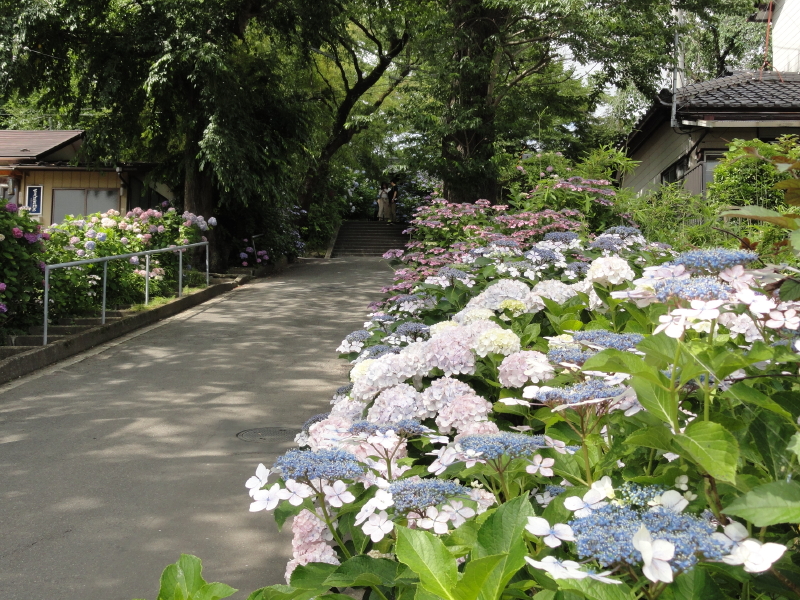 img0004.jpg