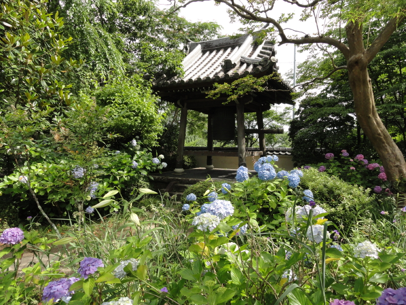 img0017.jpg