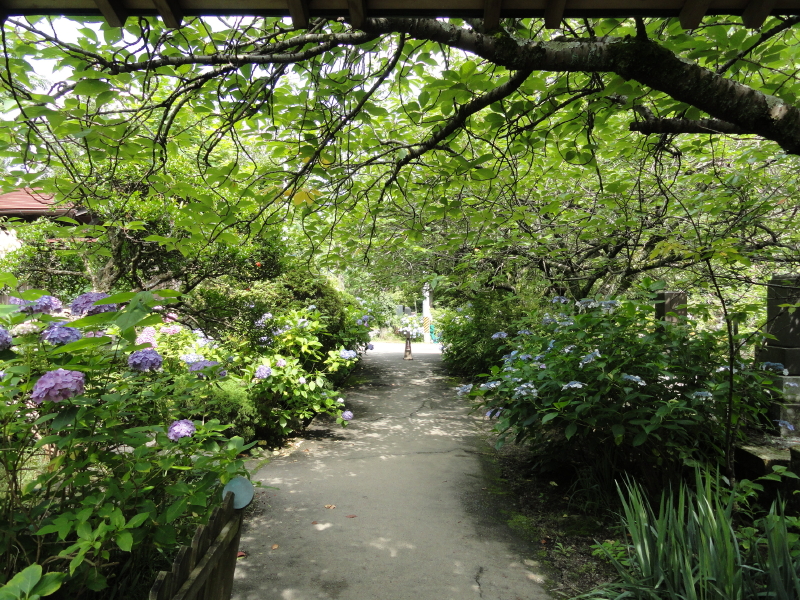 img0019.jpg
