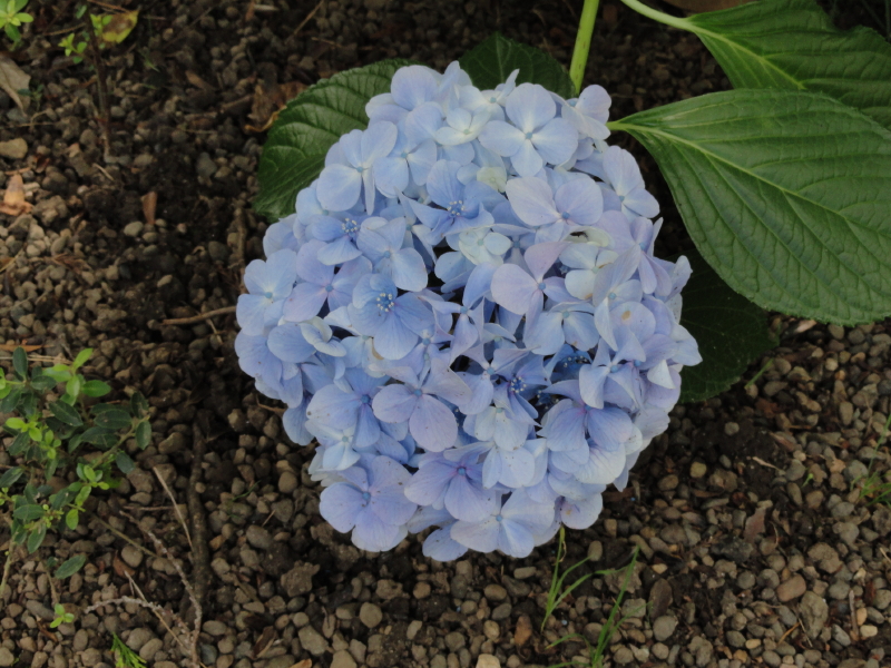 img0022.jpg