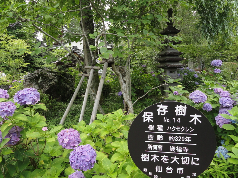 img0024.jpg