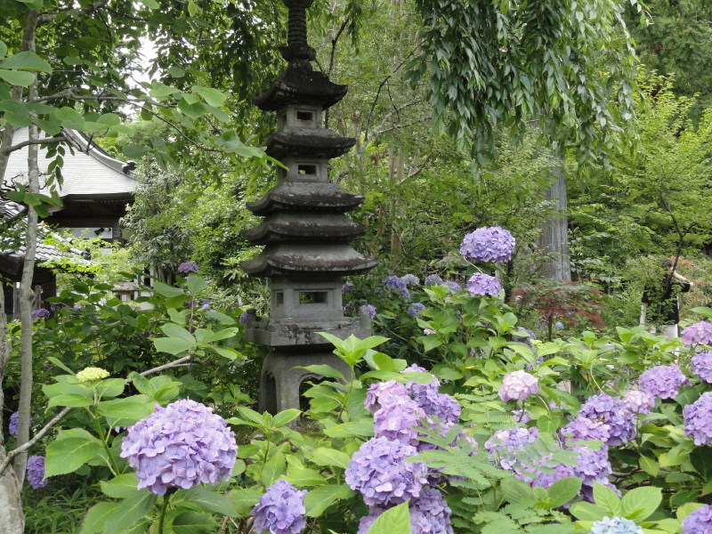 img0025.jpg