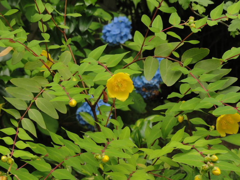img0032.jpg