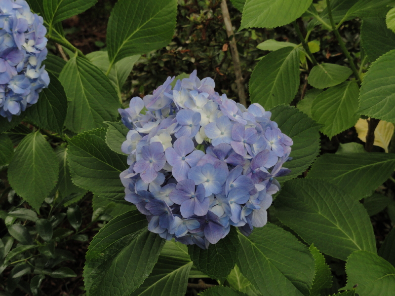 img0038.jpg