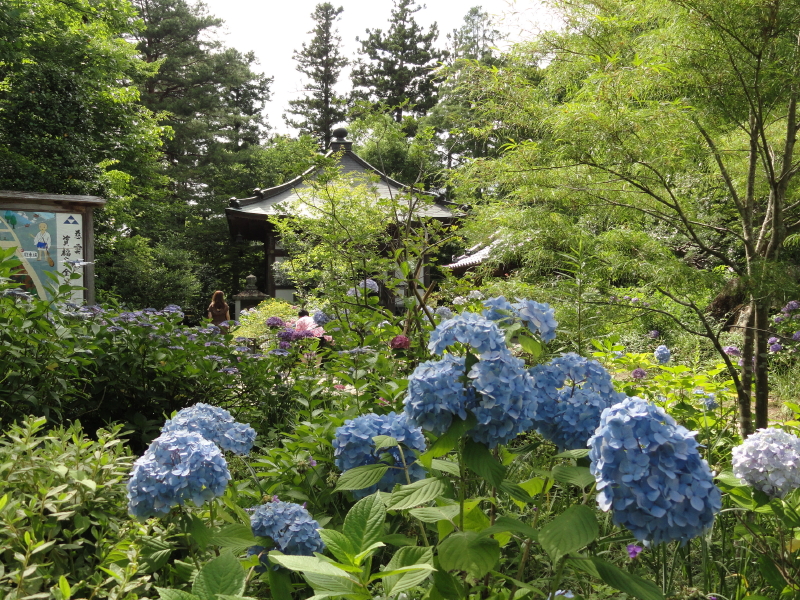 img0048.jpg