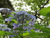 img0011.jpg