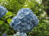 img0013.jpg