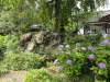 img0016.jpg