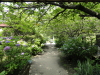 img0019.jpg