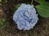img0022.jpg