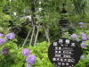 img0024.jpg