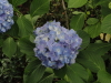 img0038.jpg