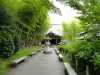 img0041.jpg